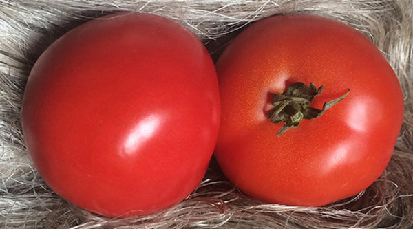 L’histoire du petit haut qui se prenait pour un jean et une tomate